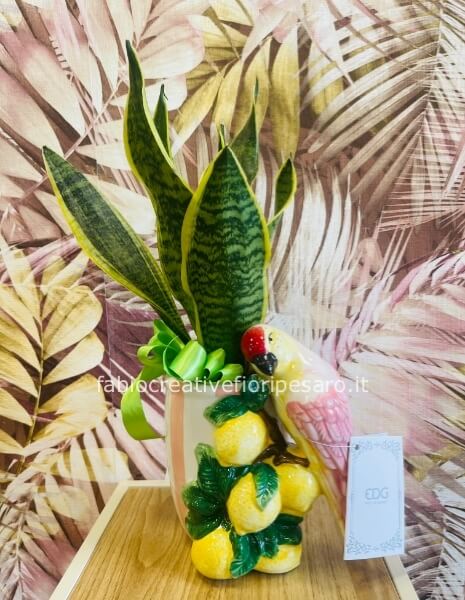 Sansevieria in Vaso EDG con Pappagallo e Limoni – Natura dal Tocco Tropicale 🪴🍋🦜