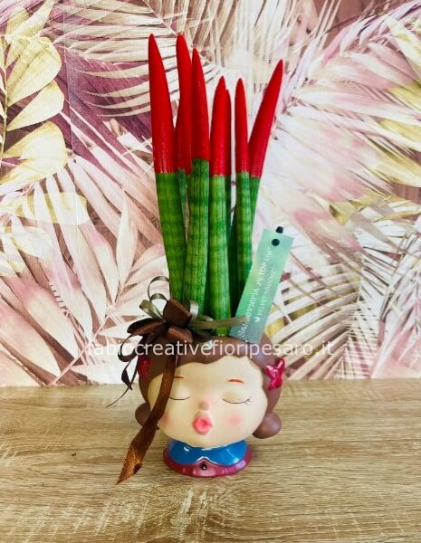 Sansevieria Velvet Touch in vaso bambolina – Stile pop e green 🌱💋