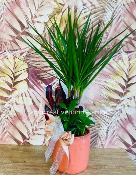 Composizione verde in vaso di ceramica – Natura viva ed eleganza 🌿🪴