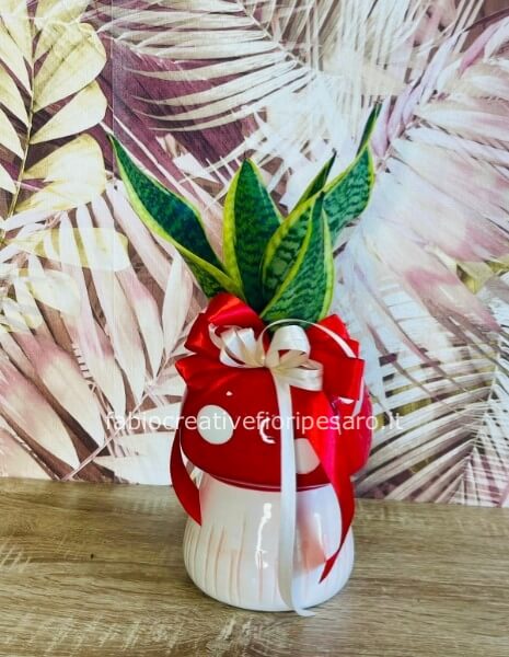  Sansevieria in vaso a fungo – Design essenziale, carattere deciso 🍄🌿