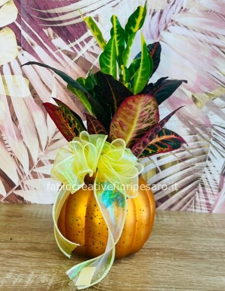 Croton in vaso di vetro a forma di zucca – Colori d'autunno tutto l’anno 🍁🎃