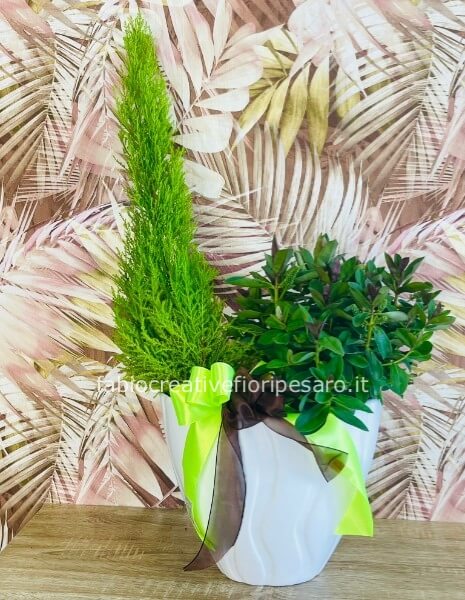 Composizione con Pino Lemon e Veronica in vaso di ceramica – Profumo, colore e stile naturale 🍋🌿💜